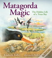 Capa do artigo Matagorda Magic