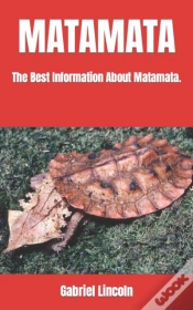 Capa do artigo Matamata