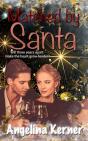 Matched By Santa - Preview