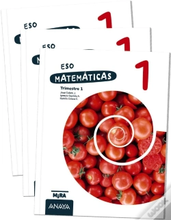Capa do artigo Matematicas 1
