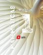 Matematicas. 1 Secundaria. Matices - Preview