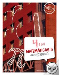 Matematicas B 4