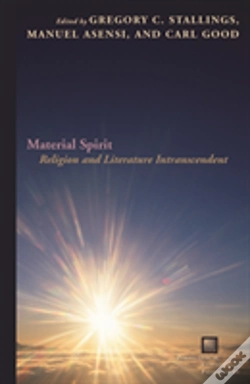 Capa do artigo Material Spirit