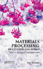 Materials Processing By Cluster Ion Beams - Preview