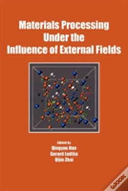 Capa do artigo Materials Processing Under The Influence Of External Fields