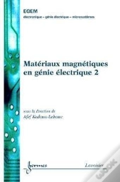 Materiaux Magnetiques En Genie Electrique 2 Traite Egem Serie Genie Electrique