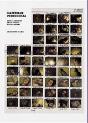 Materiaux - Pedro Costa - Preview