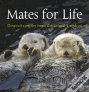 Capa do artigo Mates For Life