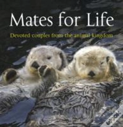 Capa do artigo Mates For Life