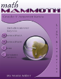 Math Mammoth Grade 7 Answer Keys - Preview