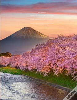 Capa do artigo Math Notebook