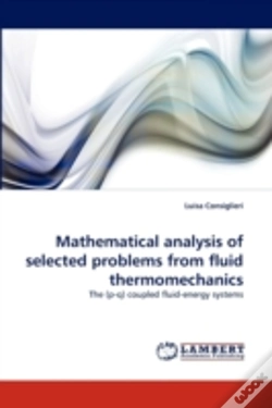 Capa do artigo Mathematical Analysis Of Selected Problems From Fluid Thermomechanics