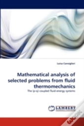 Mathematical Analysis Of Selected Problems From Fluid Thermomechanics