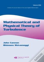 Mathematical And Physical Theory Of Turbulence, Volume 250