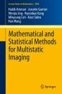Mathematical And Statistical Methods For Multistatic Imaging - Preview