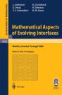 Mathematical Aspects Of Evolving Interfaces - Preview