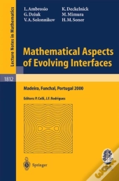 Mathematical Aspects Of Evolving Interfaces