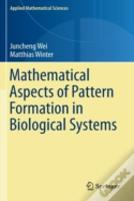 Mathematical Aspects Of Pattern Formation In Biological Systems