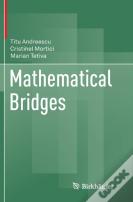 Mathematical Bridges
