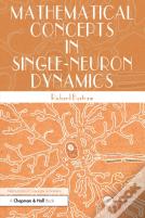 Mathematical Concepts In Single-Neuron Dynamics