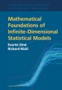 Mathematical Foundations Of Infinite-Dimensional Statistical Models - Preview