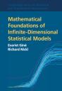 Mathematical Foundations Of Infinite-Dimensional Statistical Models - Preview