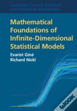 Mathematical Foundations Of Infinite-Dimensional Statistical Models