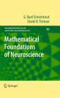 Mathematical Foundations Of Neuroscience - Preview