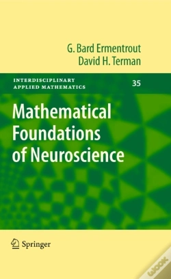 Capa do artigo Mathematical Foundations Of Neuroscience
