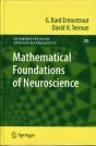 Mathematical Foundations Of Neuroscience - Preview