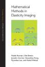 Mathematical Methods In Elasticity Imaging - Preview