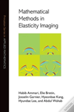 Capa do artigo Mathematical Methods In Elasticity Imaging