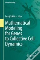 Mathematical Modeling For Genes To Collective Cell Dynamics
