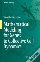 Mathematical Modeling For Genes To Collective Cell Dynamics