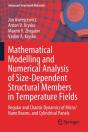 Mathematical Modelling And Numerical Analysis Of Size-Dependent Structural Members In Temperature Fields - Preview