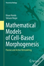Mathematical Models Of Cell-Based Morphogenesis