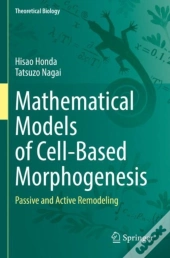 Mathematical Models Of Cell-Based Morphogenesis