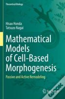 Mathematical Models Of Cell-Based Morphogenesis