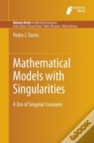 Mathematical Models With Singularities