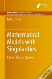 Mathematical Models With Singularities