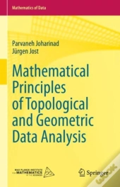 Mathematical Principles Of Topological And Geometric Data Analysis