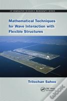 Mathematical Techniques For Wave Interaction With Flexible Structures