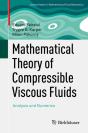 Mathematical Theory Of Compressible Viscous Fluids - Preview