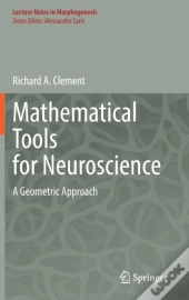 Mathematical Tools For Neuroscience