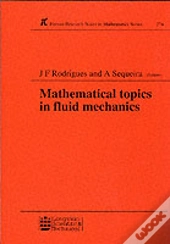 Mathematical Topics In Fluid Mechanics