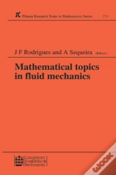 Mathematical Topics In Fluid Mechanics