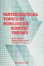 Mathematical Topics In Nonlinear Kinetic Theory - Preview