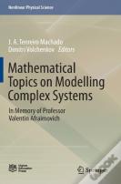 Mathematical Topics On Modelling Complex Systems
