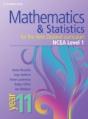 Mathematics And Statistics For The New Zealand Curriculum Year 11 - Preview