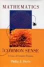 Mathematics & Common Sense - Preview